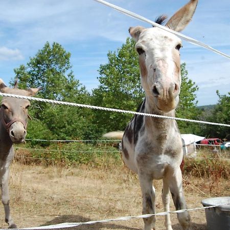 Camping La Foret Du Morvan Larochemillay エクステリア 写真