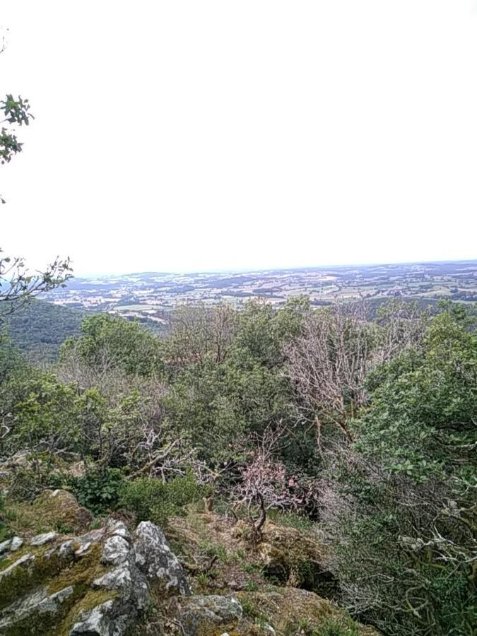 Camping La Foret Du Morvan Larochemillay エクステリア 写真